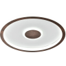 Настенно-потолочный светильник FREYA ORBIT FR5421CL-L80BR 80 Вт светодиодный коричневый
